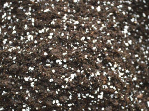 5萬(wàn)噸秸稈(蘑菇渣)基質(zhì)(育苗土)