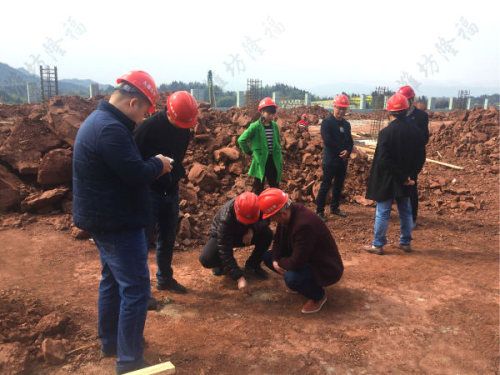 3萬噸秸稈+畜禽糞便顆粒生物有機(jī)肥