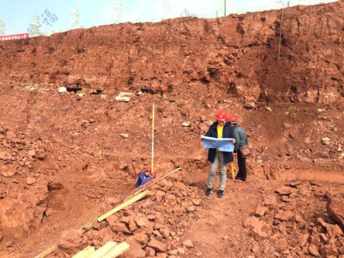 3萬噸秸稈+畜禽糞便顆粒生物有機(jī)肥