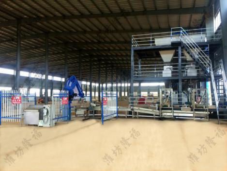 20萬噸BB肥生產線