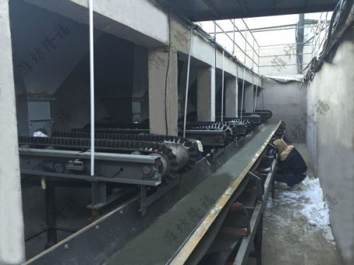 5萬噸牛(羊)糞擠壓有機肥